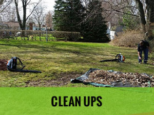 Clean Ups - Cut Rite Outdoor Services, LLC