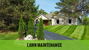 Lawn Maintenance - Cut Rite Outdoor Services, LLC