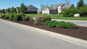 Flowers, Mulching, and Landscaping
